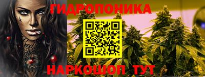 ALPHA-PVP Новозыбков