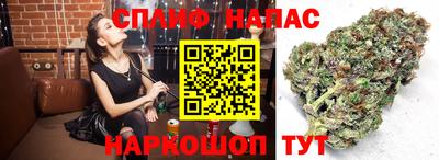ALPHA-PVP Новозыбков