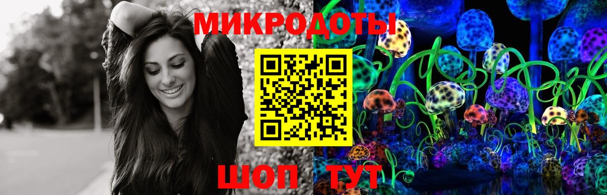 Псилоцибиновые грибы Cubensis Рославль